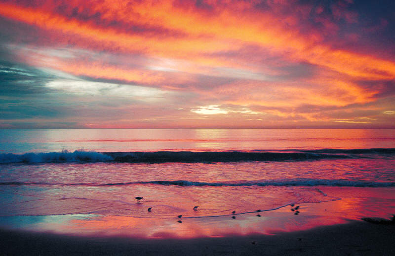 Sunset_birds_1090_800_1